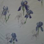 Iris on Cream Silk-image